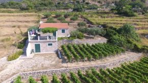  Holiday Home Vineyard house  Бол